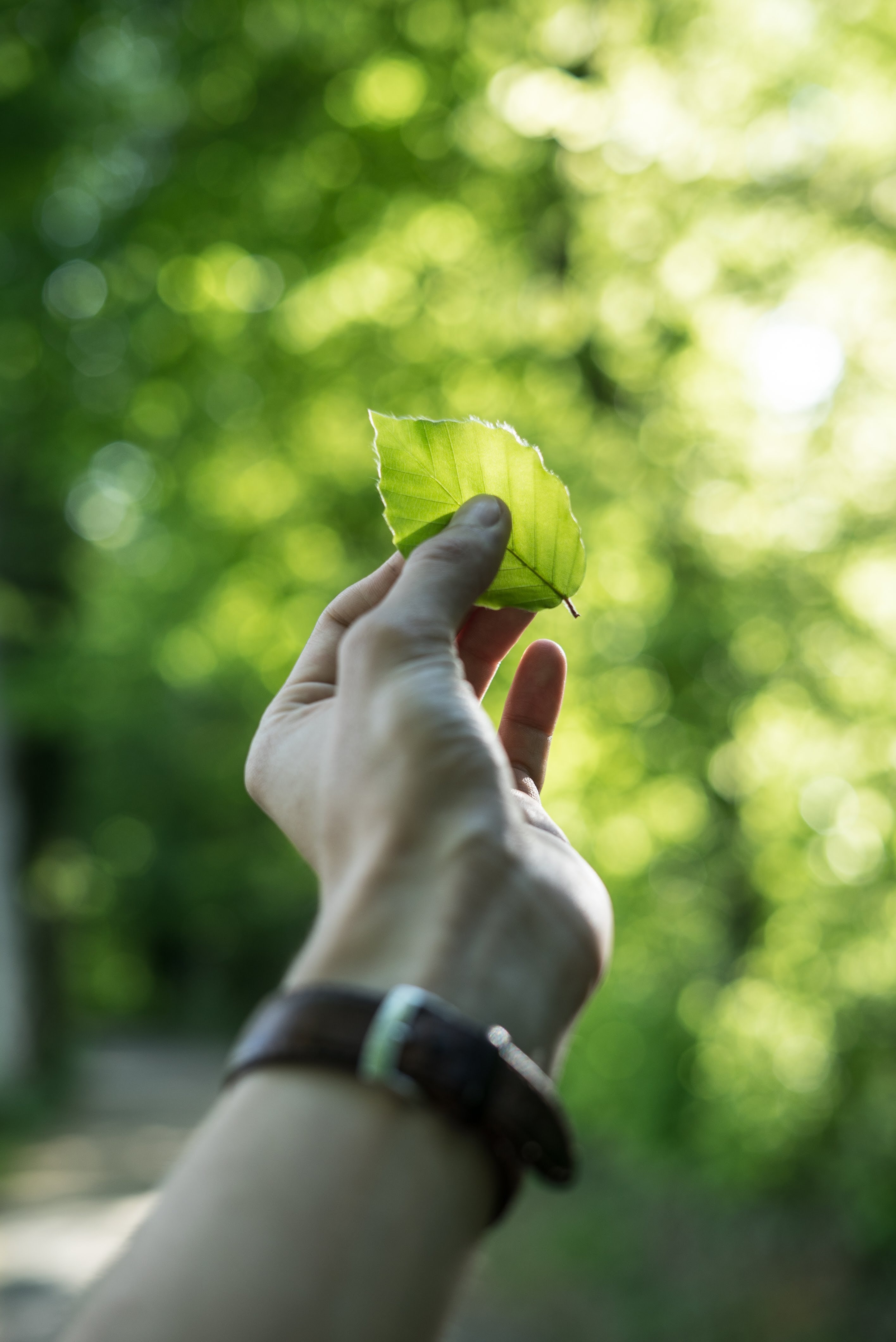 Sustainability at The Steadings